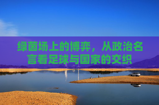 绿茵场上的博弈,从政治名言看足球与国家的交织
