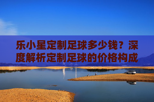 乐小星定制足球多少钱?深度解析定制足球的价格构成与选购指南