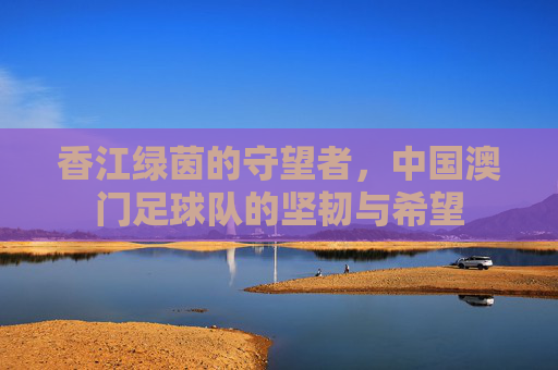香江绿茵的守望者,中国澳门足球队的坚韧与希望