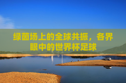 绿茵场上的全球共振，各界眼中的世界杯足球