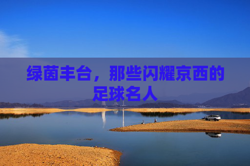 绿茵丰台,那些闪耀京西的足球名人