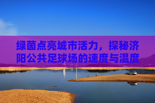 绿茵点亮城市活力,探秘济阳公共足球场的速度与温度