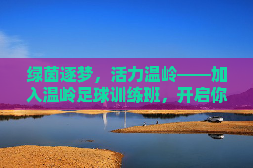 绿茵逐梦，活力温岭——加入温岭足球训练班，开启你的足球之旅