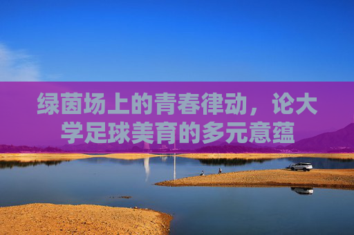 绿茵场上的青春律动,论大学足球美育的多元意蕴