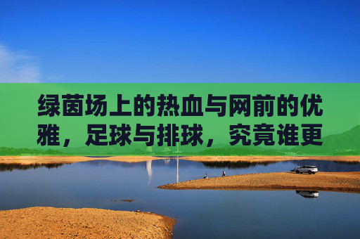 绿茵场上的热血与网前的优雅,足球与排球,究竟谁更好玩?