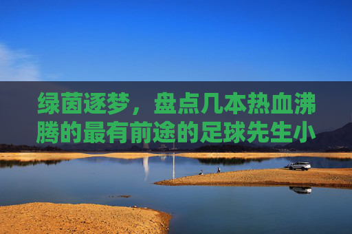绿茵逐梦,盘点几本热血沸腾的最有前途的足球先生小说