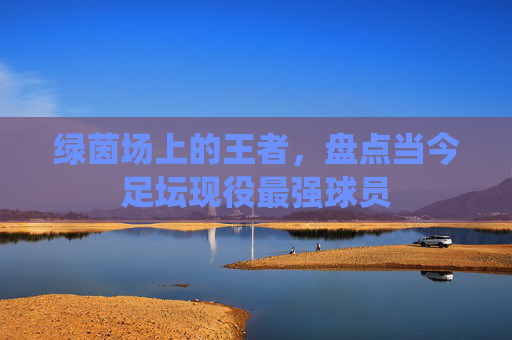 绿茵场上的王者，盘点当今足坛现役最强球员