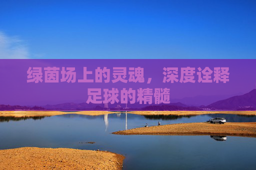 绿茵场上的灵魂,深度诠释足球的精髓