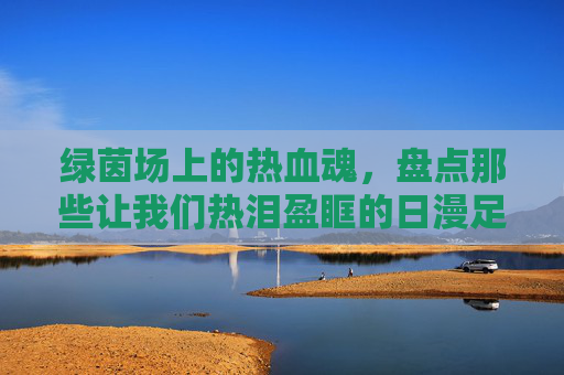 绿茵场上的热血魂，盘点那些让我们热泪盈眶的日漫足球角色