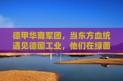 德甲华裔军团，当东方血统遇见德国工业，他们在绿茵场上书写融合与传承