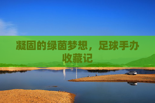 凝固的绿茵梦想,足球手办收藏记