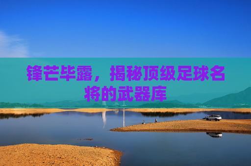 锋芒毕露,揭秘顶级足球名将的武器库