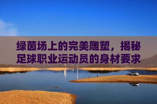 绿茵场上的完美雕塑,揭秘足球职业运动员的身材要求