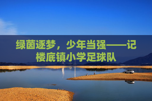 绿茵逐梦,少年当强——记楼底镇小学足球队