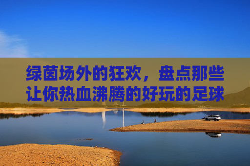 绿茵场外的狂欢,盘点那些让你热血沸腾的好玩的足球游戏