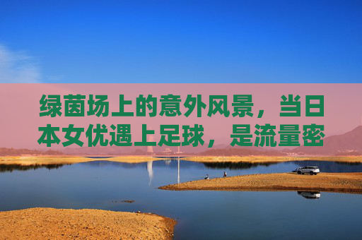 绿茵场上的意外风景,当日本女优遇上足球,是流量密码还是文化奇观?