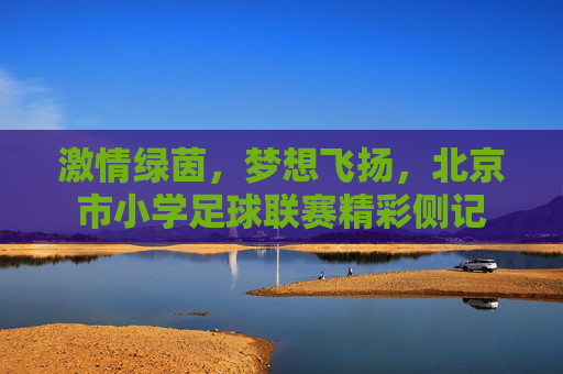 激情绿茵，梦想飞扬，北京市小学足球联赛精彩侧记