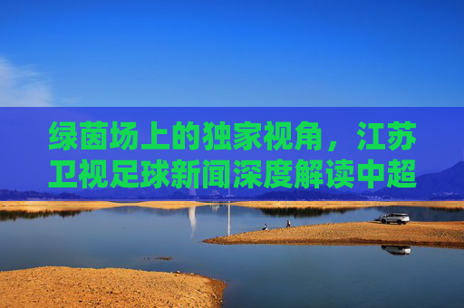 绿茵场上的独家视角，江苏卫视足球新闻深度解读中超风云