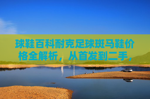 球鞋百科耐克足球斑马鞋价格全解析,从首发到二手,值不值得入手?