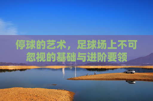 停球的艺术,足球场上不可忽视的基础与进阶要领