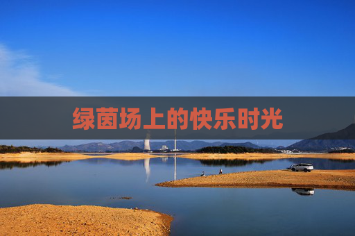 绿茵场上的快乐时光