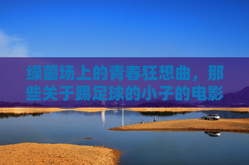 绿茵场上的青春狂想曲,那些关于踢足球的小子的电影