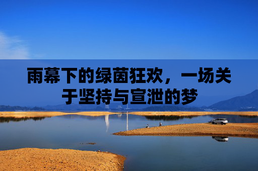 雨幕下的绿茵狂欢，一场关于坚持与宣泄的梦