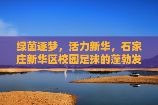 绿茵逐梦,活力新华,石家庄新华区校园足球的蓬勃发展