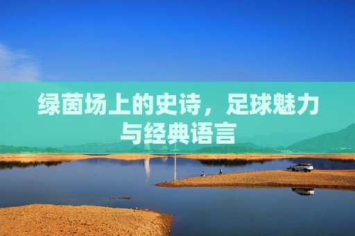 绿茵场上的史诗，足球魅力与经典语言