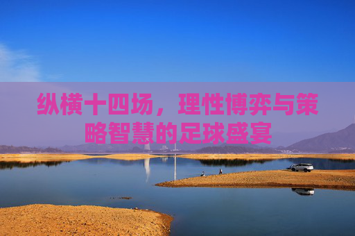 纵横十四场，理性博弈与策略智慧的足球盛宴