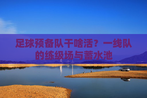 足球预备队干啥活？一线队的练级场与蓄水池