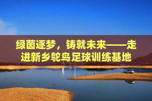 绿茵逐梦,铸就未来——走进新乡鸵鸟足球训练基地