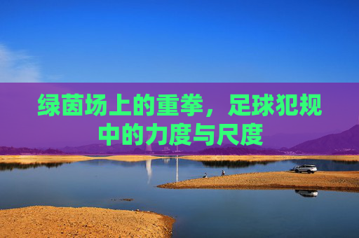 绿茵场上的重拳,足球犯规中的力度与尺度