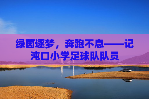绿茵逐梦,奔跑不息——记沌口小学足球队队员