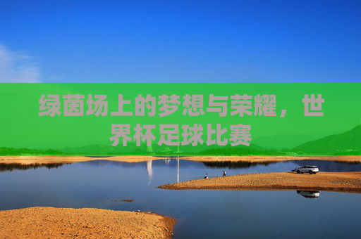 绿茵场上的梦想与荣耀,世界杯足球比赛