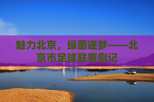 魅力北京,绿茵逐梦——北京市足球联赛侧记