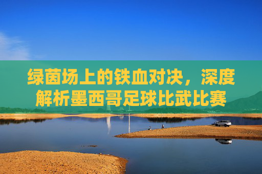 绿茵场上的铁血对决,深度解析墨西哥足球比武比赛