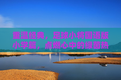 重温经典,足球小将国语版小学篇,点燃心中的绿茵热血