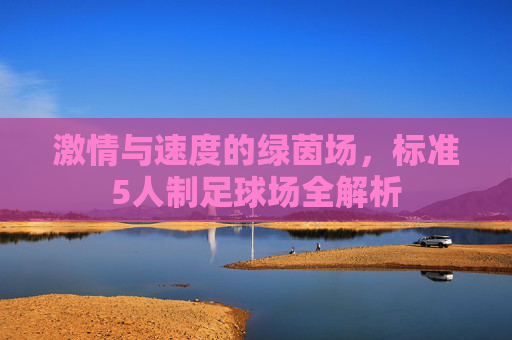 激情与速度的绿茵场,标准5人制足球场全解析