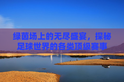 绿茵场上的无尽盛宴，探秘足球世界的各类顶级赛事