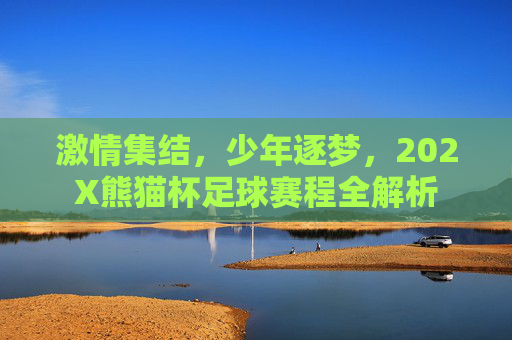 激情集结，少年逐梦，202X熊猫杯足球赛程全解析