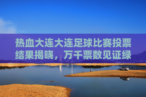 热血大连大连足球比赛投票结果揭晓，万千票数见证绿茵场上的英雄时刻