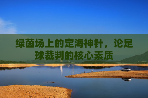 绿茵场上的定海神针,论足球裁判的核心素质