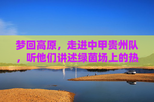 梦回高原,走进中甲贵州队,听他们讲述绿茵场上的热血与坚守