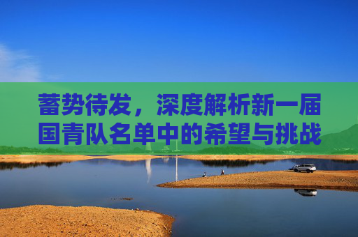 蓄势待发,深度解析新一届国青队名单中的希望与挑战