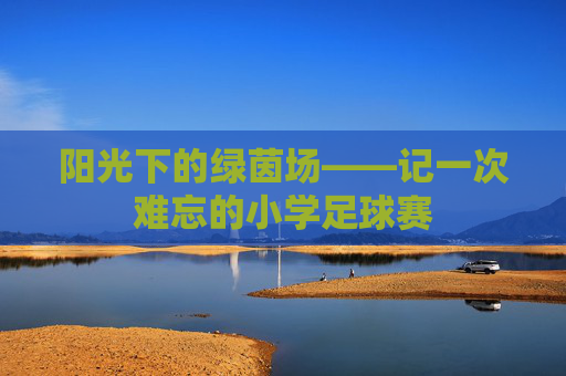 阳光下的绿茵场——记一次难忘的小学足球赛