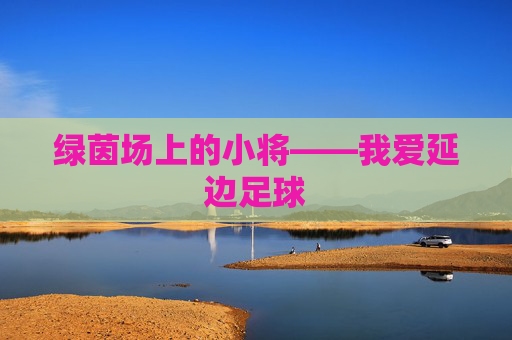 绿茵场上的小将——我爱延边足球
