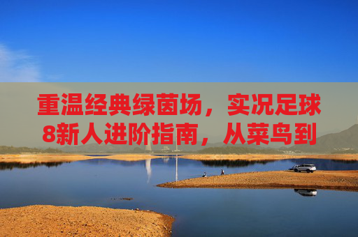 重温经典绿茵场,实况足球8新人进阶指南,从菜鸟到球王的蜕变之路