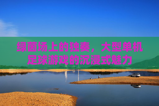 绿茵场上的独奏,大型单机足球游戏的沉浸式魅力
