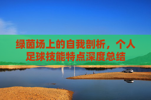 绿茵场上的自我剖析,个人足球技能特点深度总结